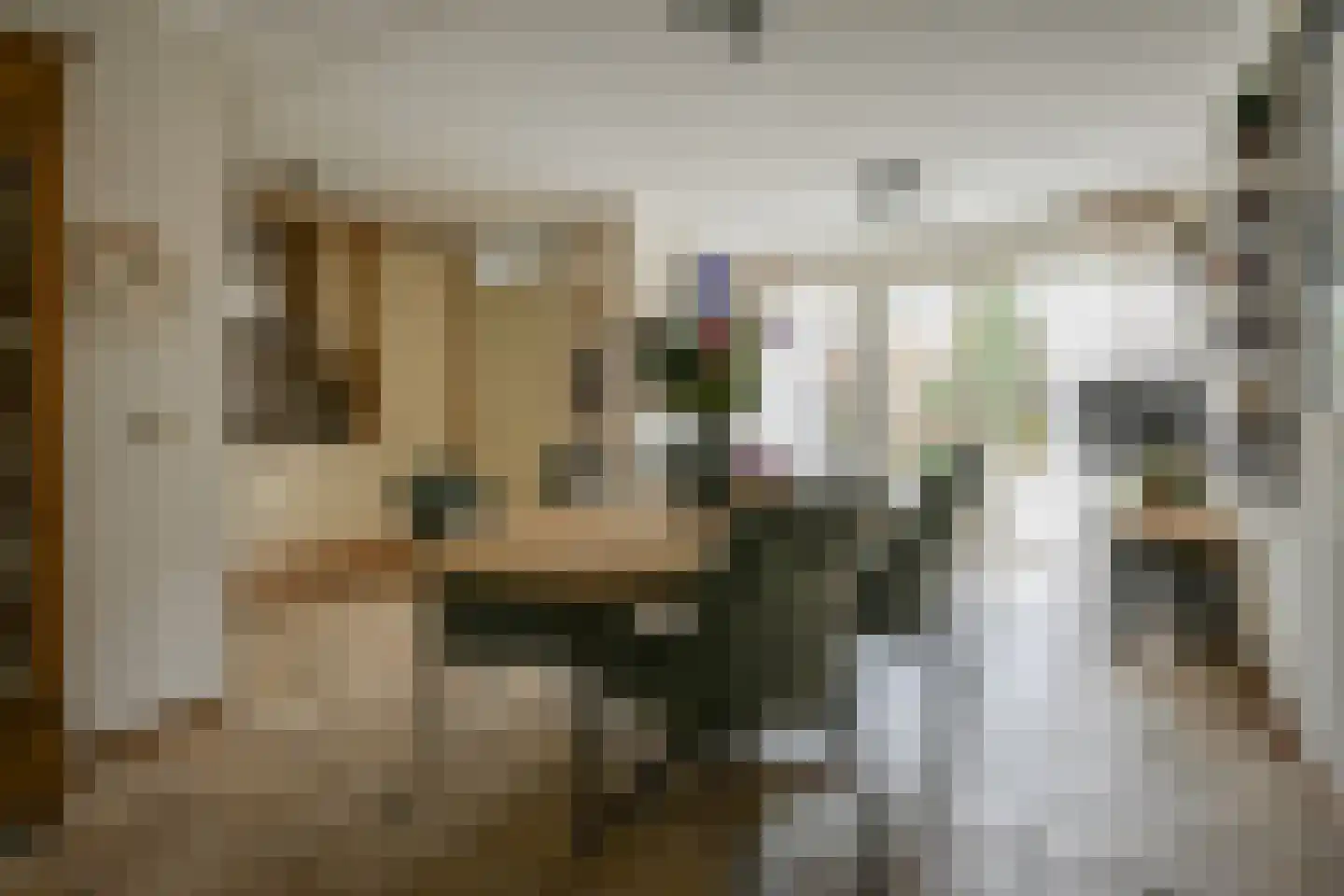 Grooten Sloot 46 Bergschenhoek thumbnail 12