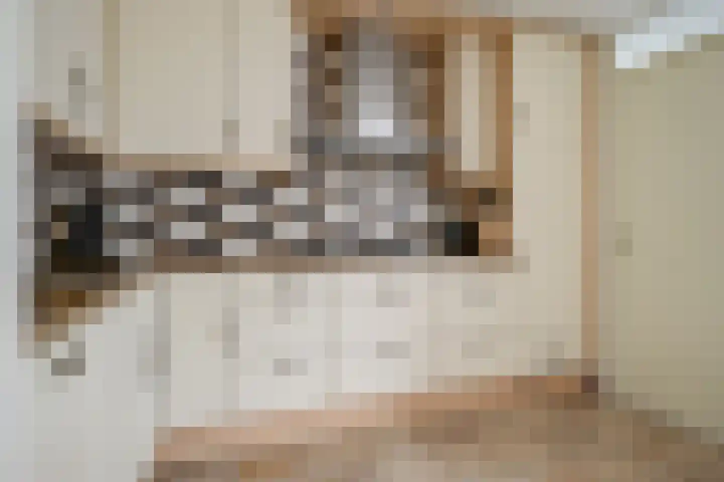 Grooten Sloot 46 Bergschenhoek thumbnail 16