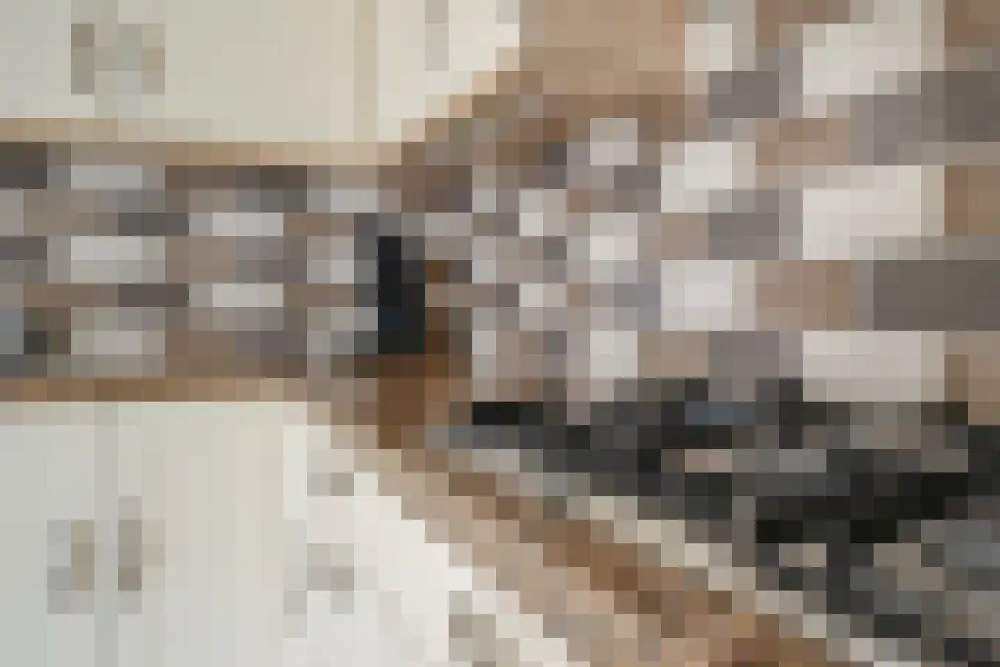 Grooten Sloot 46 Bergschenhoek thumbnail 16