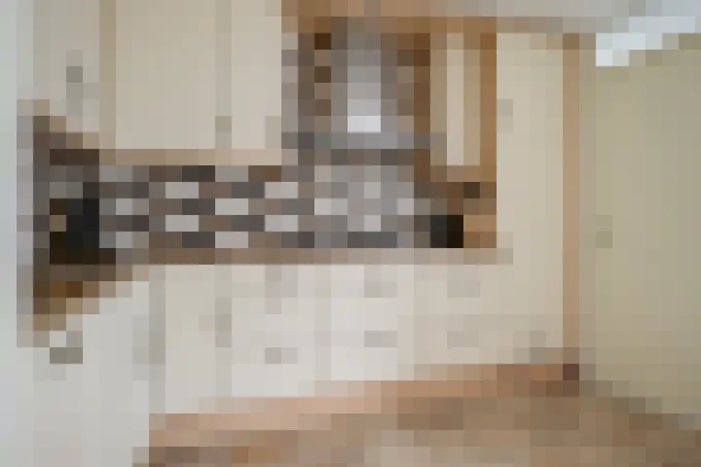 Grooten Sloot 46 Bergschenhoek thumbnail 17