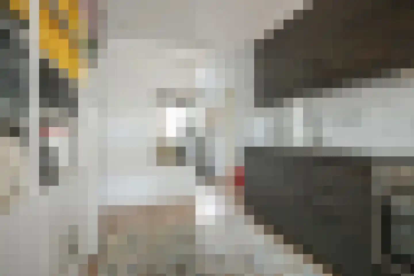 Grooten Sloot 46 Bergschenhoek thumbnail 19
