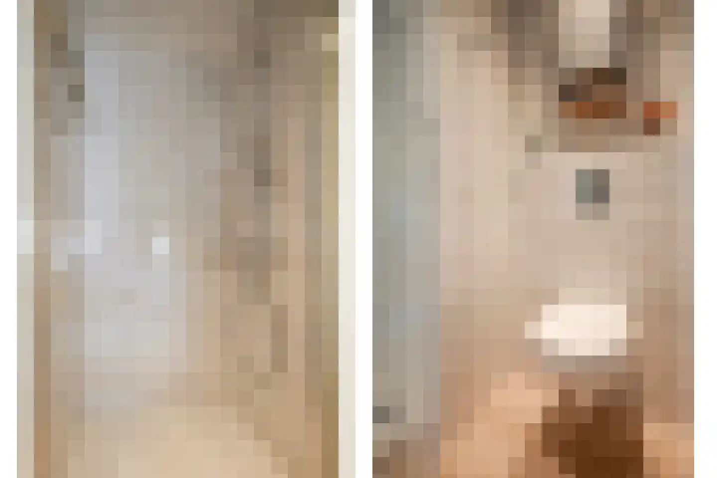 Grooten Sloot 46 Bergschenhoek thumbnail 20