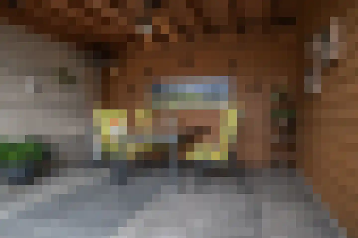 Grooten Sloot 46 Bergschenhoek thumbnail 39
