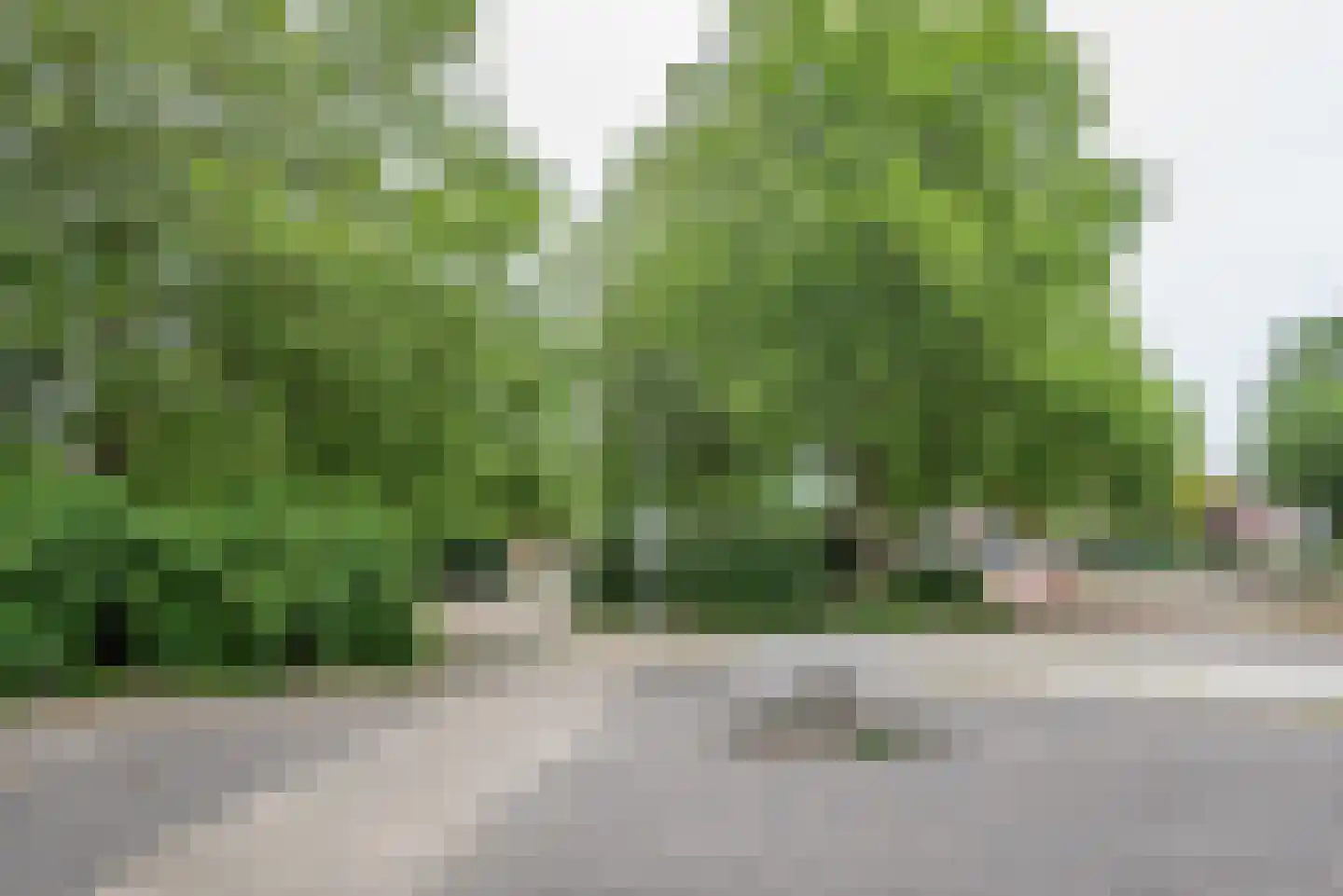 Grooten Sloot 46 Bergschenhoek thumbnail 41