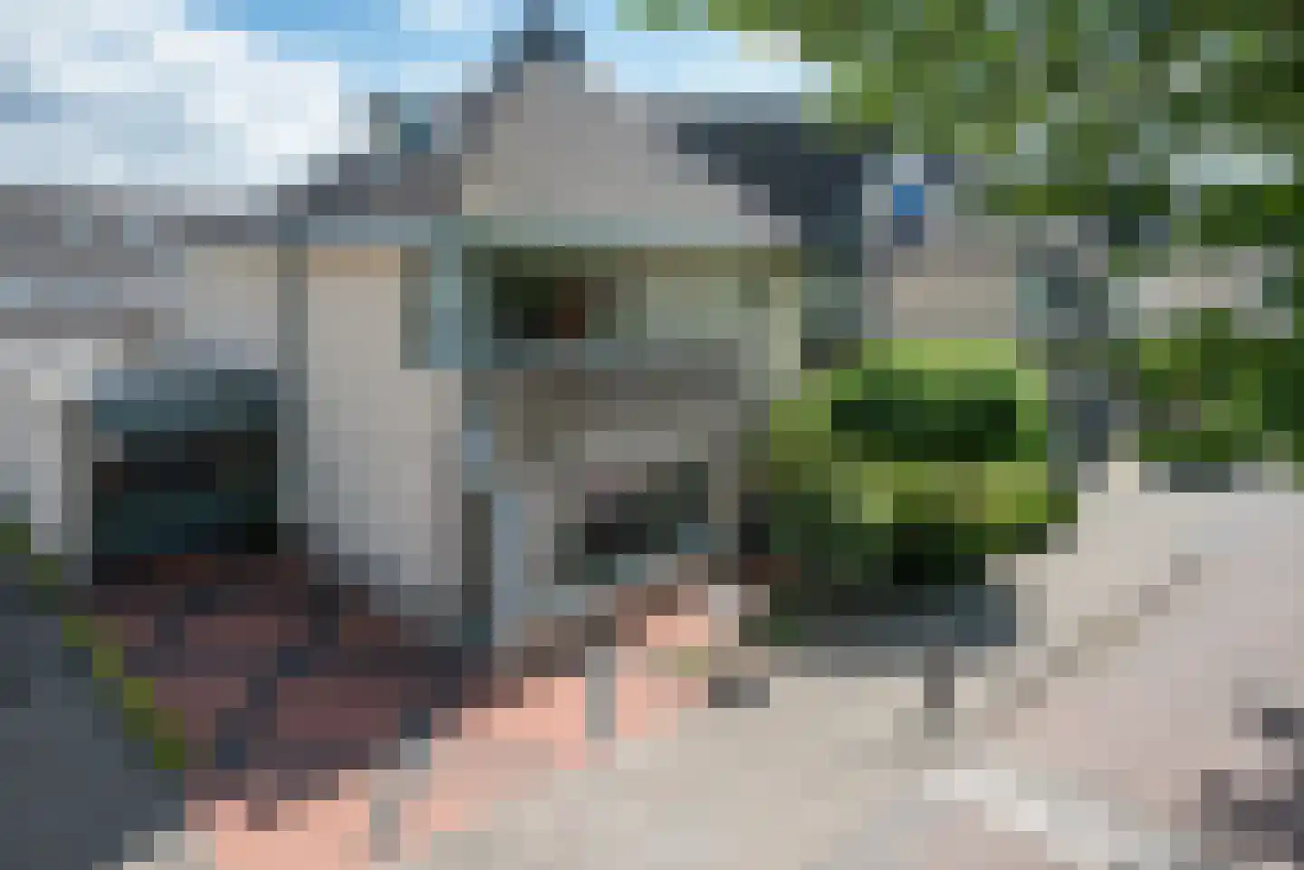 Grooten Sloot 46 Bergschenhoek thumbnail 5