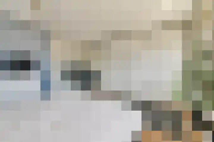 Grooten Sloot 8 Bergschenhoek thumbnail 11