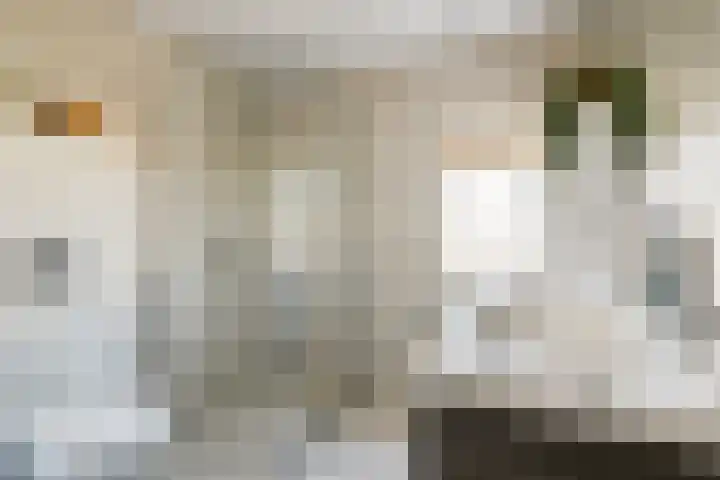 Grooten Sloot 8 Bergschenhoek thumbnail 17