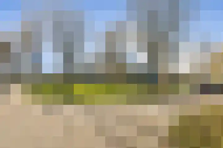 Grooten Sloot 8 Bergschenhoek thumbnail 20