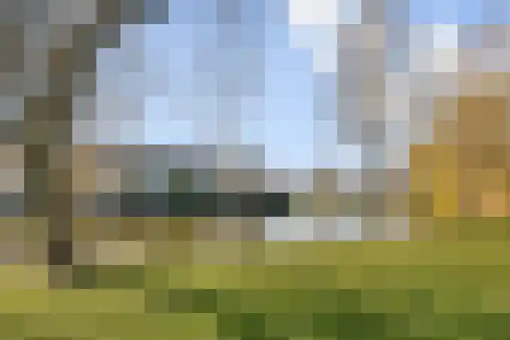 Grooten Sloot 8 Bergschenhoek thumbnail 21