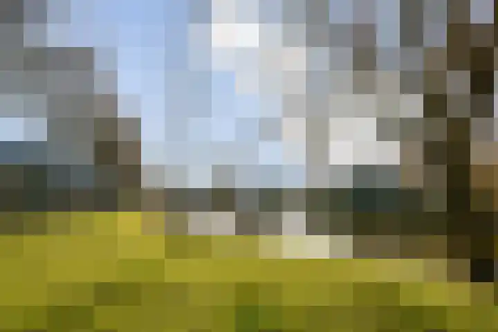 Grooten Sloot 8 Bergschenhoek thumbnail 22