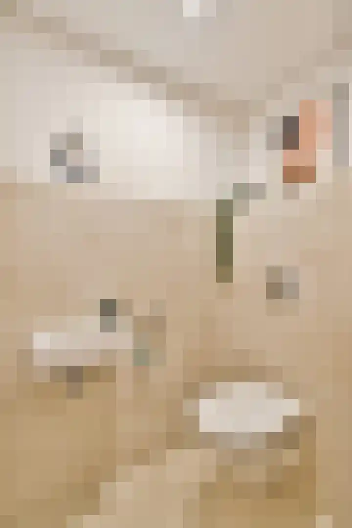 Grooten Sloot 8 Bergschenhoek thumbnail 9