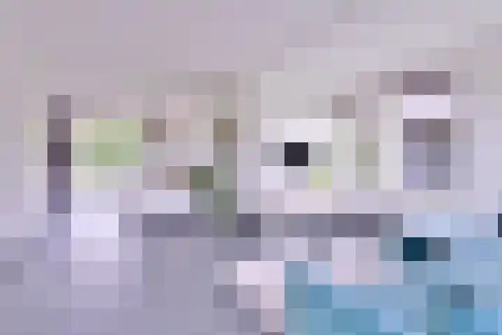 Grooterkamp 59 Gorssel thumbnail 12