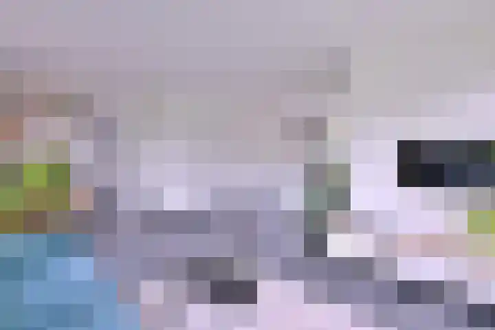 Grooterkamp 59 Gorssel thumbnail 13