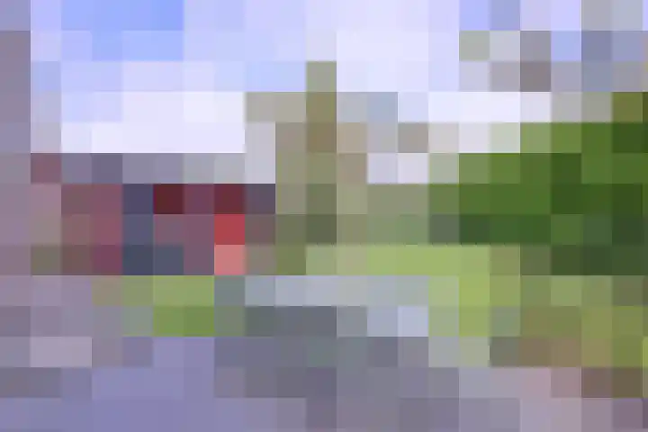 Grooterkamp 59 Gorssel thumbnail 44