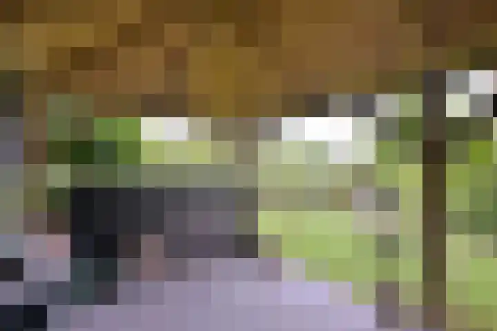 Grooterkamp 59 Gorssel thumbnail 48