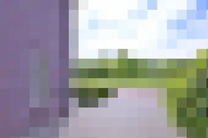 Grooterkamp 59 Gorssel thumbnail 50