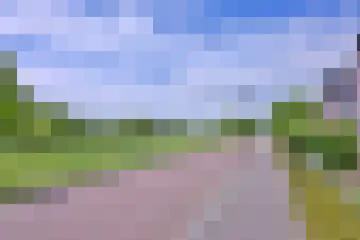 Grooterkamp 59 Gorssel thumbnail 51