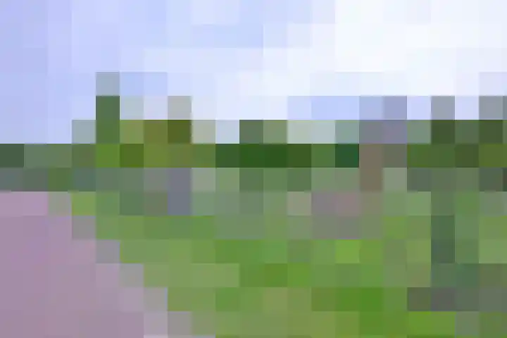 Grooterkamp 59 Gorssel thumbnail 53