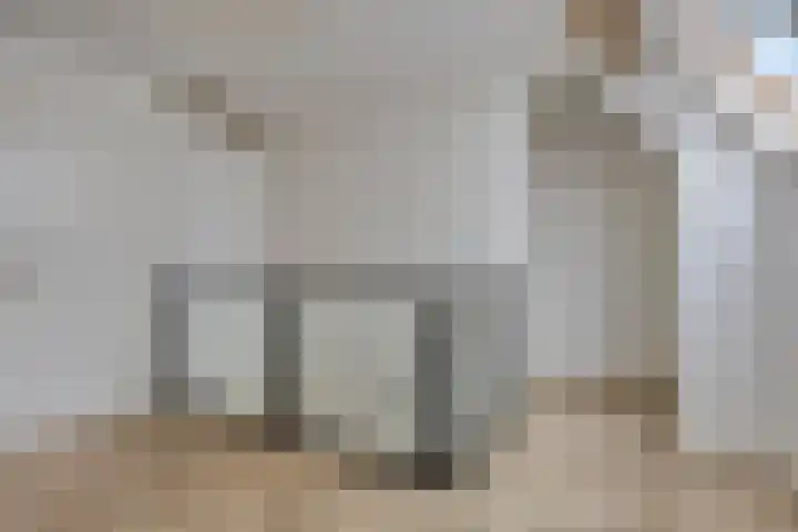 Grootestraat 12 Batenburg thumbnail 21