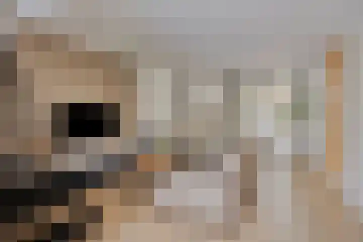 Grootestraat 12 Batenburg thumbnail 5
