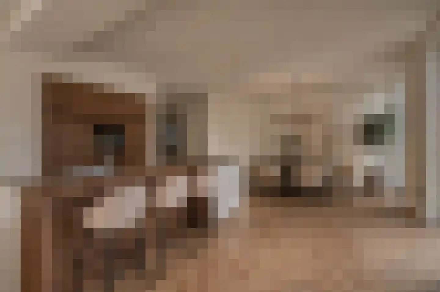 Grootestraat 33 Vlodrop thumbnail 4