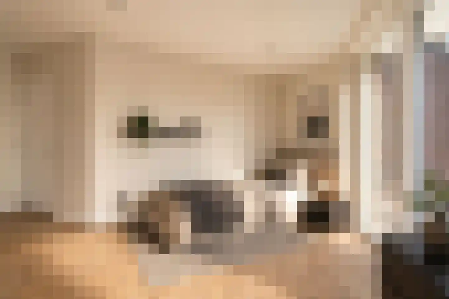 Grootestraat 33 Vlodrop thumbnail 7