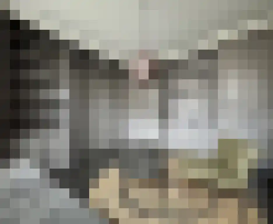 Grootestraat 38 Batenburg thumbnail 6