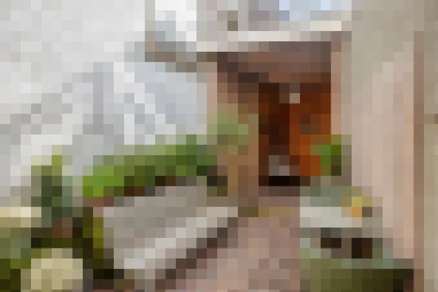 Grootestraat 7 a Oldenzaal thumbnail 12
