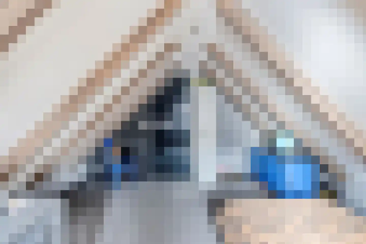Grootestraat 7 a Oldenzaal thumbnail 36