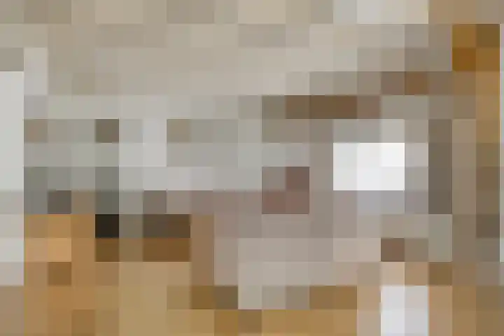 Grootgaalseweg 6 a Schaijk thumbnail 12