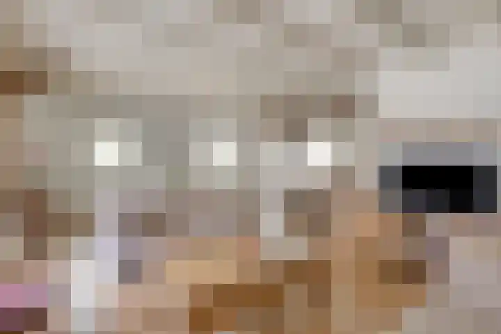 Grootgaalseweg 6 a Schaijk thumbnail 14