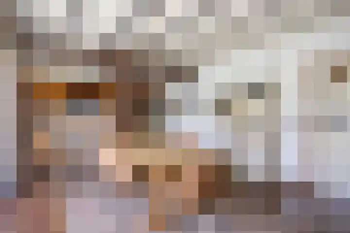 Grootgaalseweg 6 a Schaijk thumbnail 16