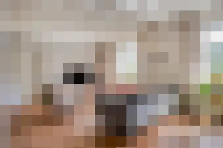 Grootgaalseweg 6 a Schaijk thumbnail 35