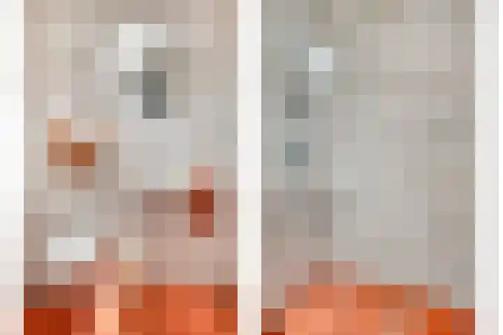 Grootgaalseweg 6 a Schaijk thumbnail 45