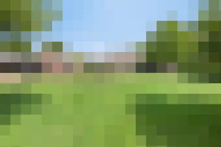 Grootgaalseweg 6 a Schaijk thumbnail 56