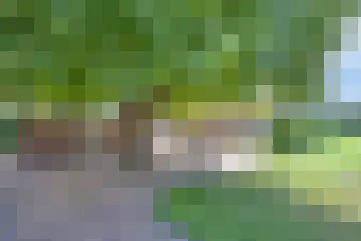 Grootgaalseweg 6 a Schaijk thumbnail 57