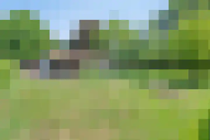 Grootgaalseweg 6 a Schaijk thumbnail 61