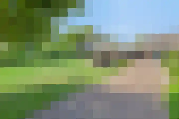 Grootgaalseweg 6 a Schaijk thumbnail 62