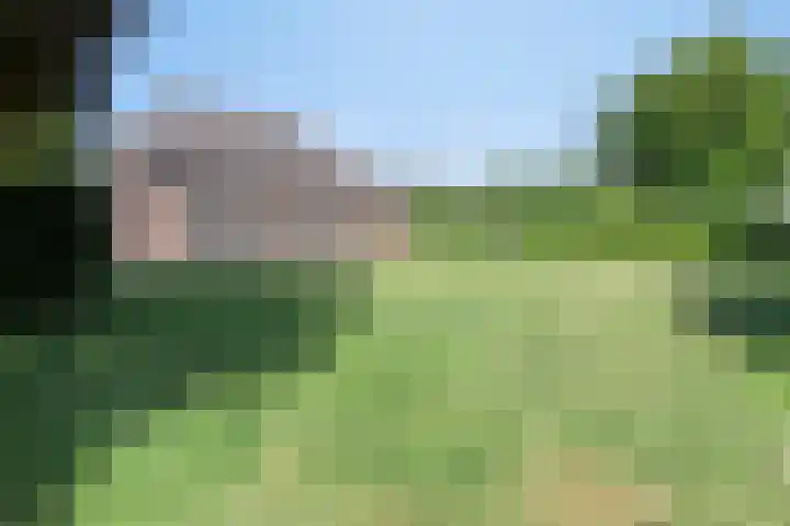 Grootgaalseweg 6 a Schaijk thumbnail 63