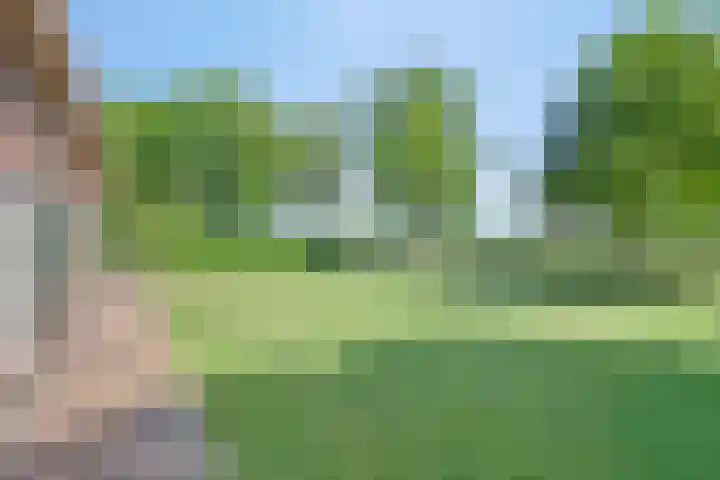 Grootgaalseweg 6 a Schaijk thumbnail 64
