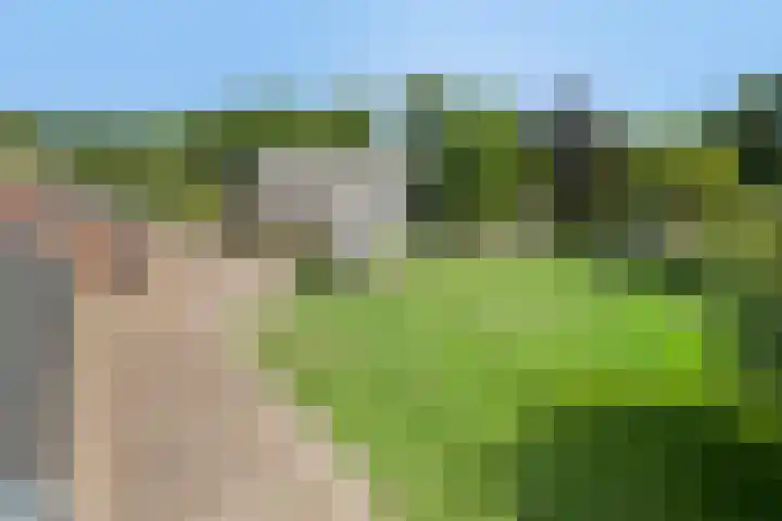 Grootgaalseweg 6 a Schaijk thumbnail 66