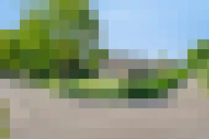 Grootgaalseweg 6 a Schaijk thumbnail 67