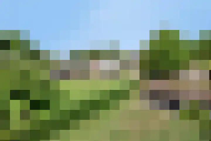 Grootgaalseweg 6 a Schaijk thumbnail 68