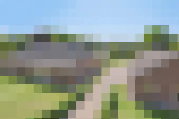 Grootgaalseweg 6 a Schaijk thumbnail 7