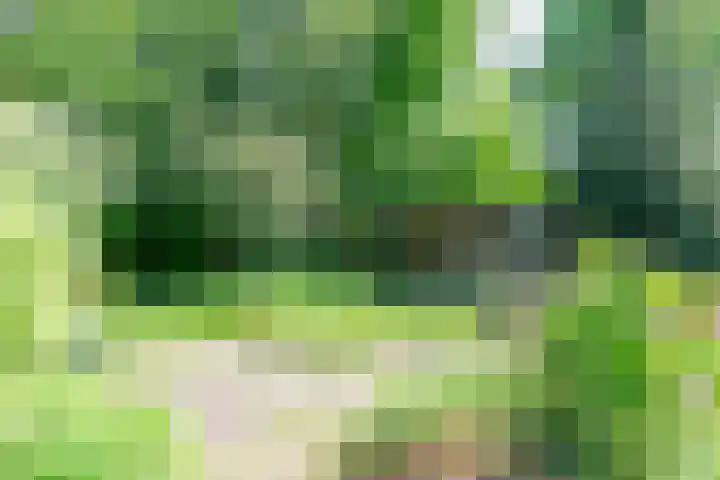 Grootgenhouterstraat 113 Beek thumbnail 31