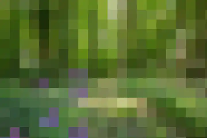 Grootgenhouterstraat 113 Beek thumbnail 34
