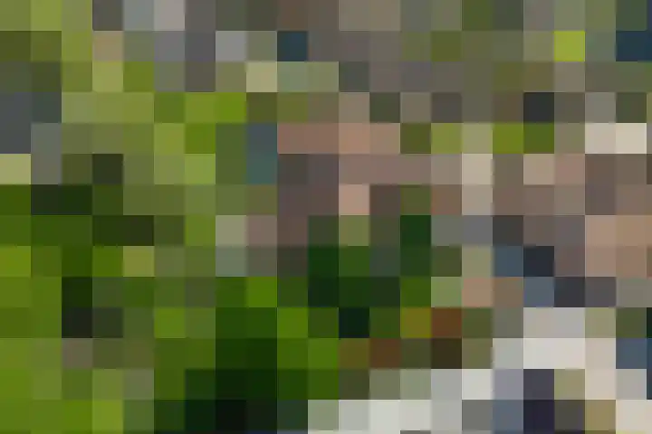 Grootgenhouterstraat 113 Beek thumbnail 36