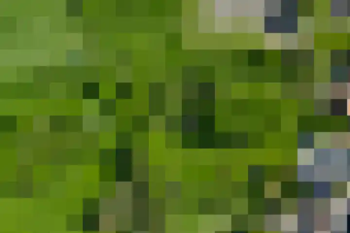 Grootgenhouterstraat 113 Beek thumbnail 37