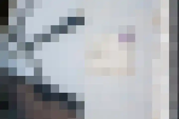 Grootgenhouterstraat 113 Beek thumbnail 7