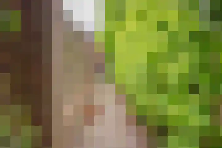 Grootgenhouterstraat 118 Beek thumbnail 30
